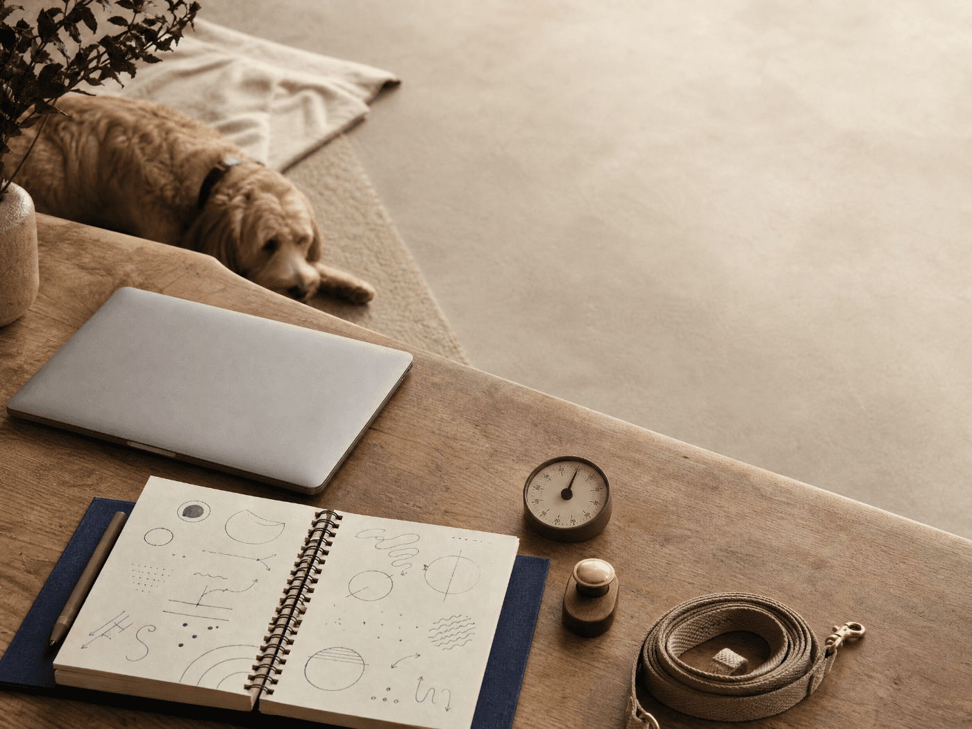 Dog-training workspace with journal, clicker, timer, and dog resting nearby
