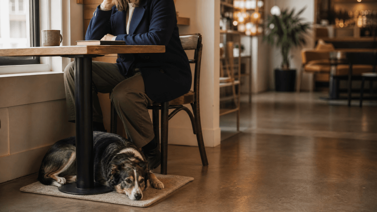 Dog resting quietly under a café table during calm public practice